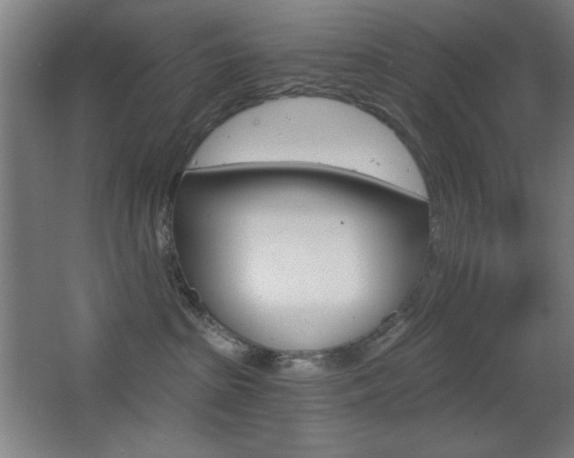 X0000068260285200604210922