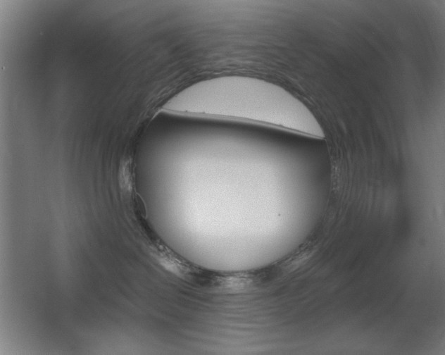 X0000068260286200604210922