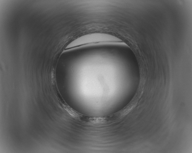 X0000068260288200604210922