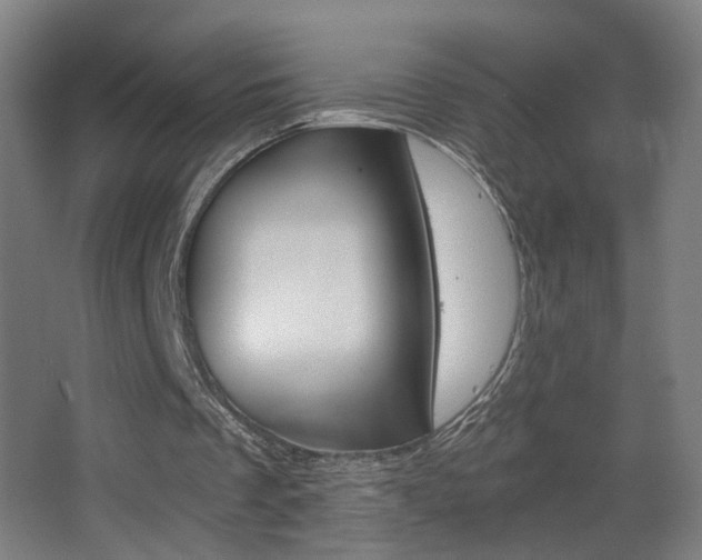 X0000068260289200604210921