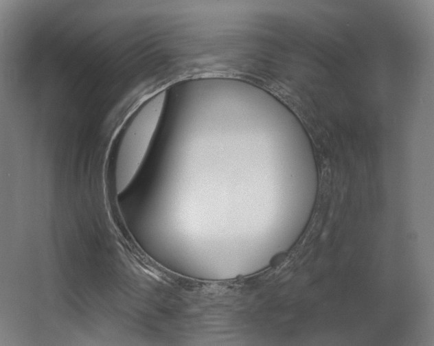 X0000068260290200604210921