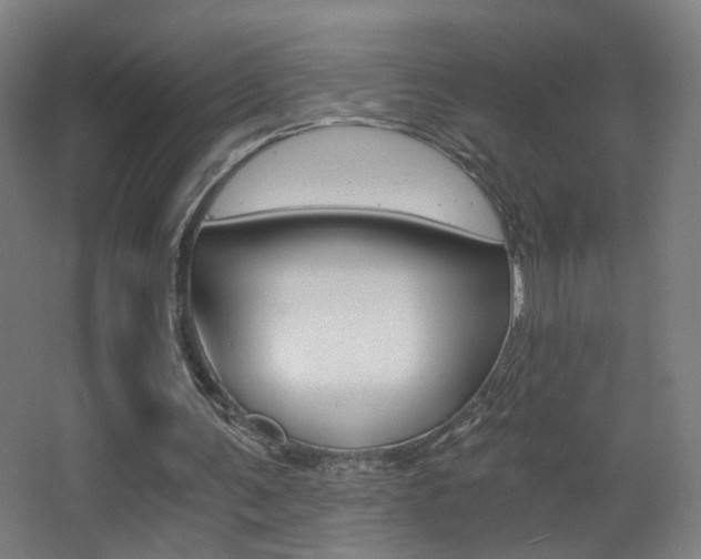 X0000068260291200604210921