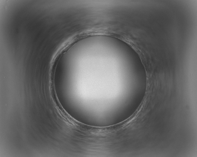 X0000068260293200604210921