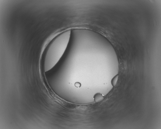 X0000068260294200604210921