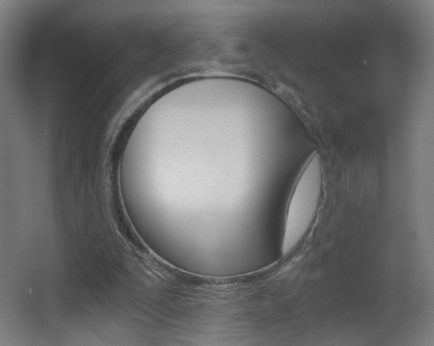 X0000068260295200604210921