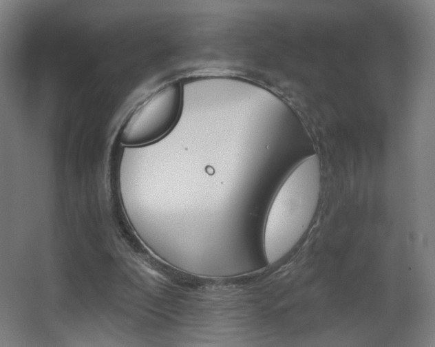 X0000068260296200604210921