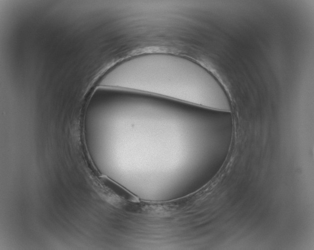 X0000068260297200604210921