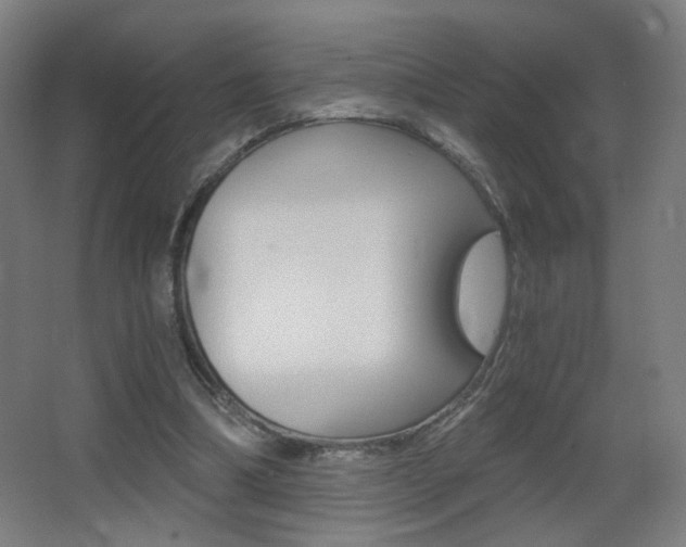 X0000068260298200604210921