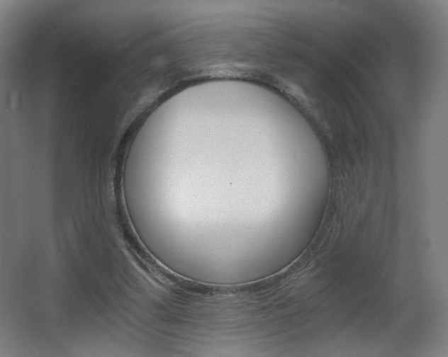 X0000068260299200604210921