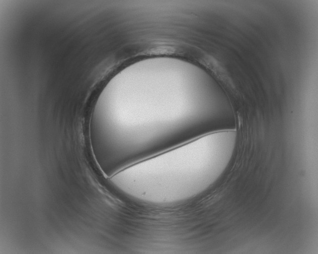 X0000068260300200604210921