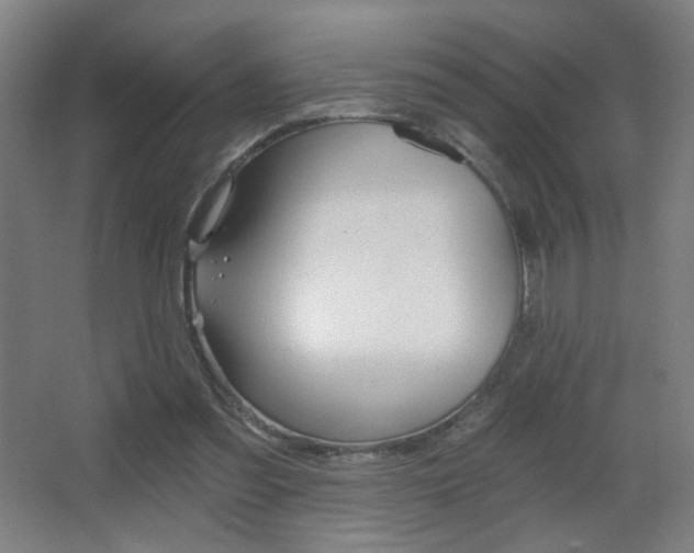 X0000068260301200604210921