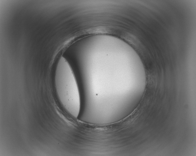 X0000068260302200604210921