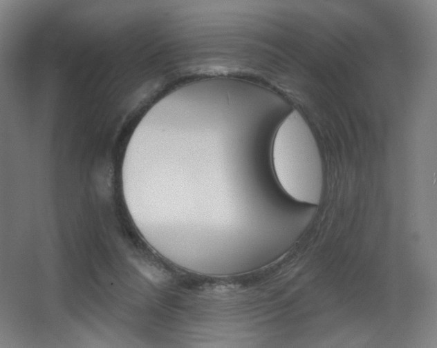 X0000068260304200604210921