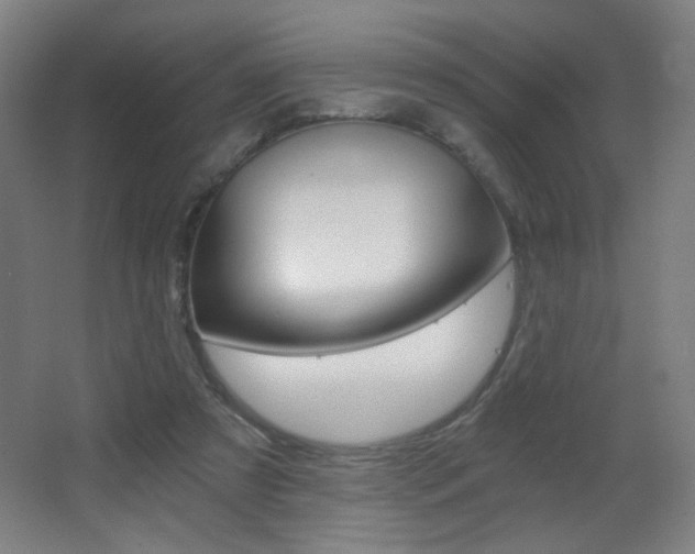 X0000068260305200604210921