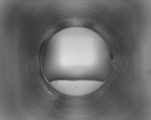 X0000068260306200604210921