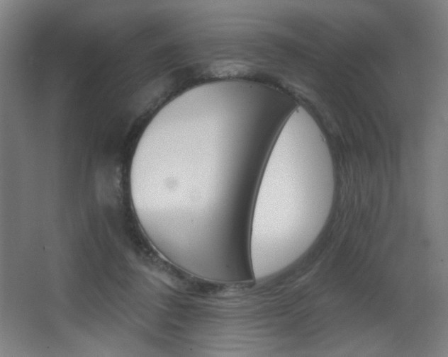 X0000068260308200604210921