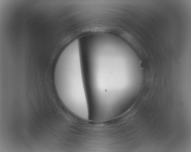 X0000068260309200604210921