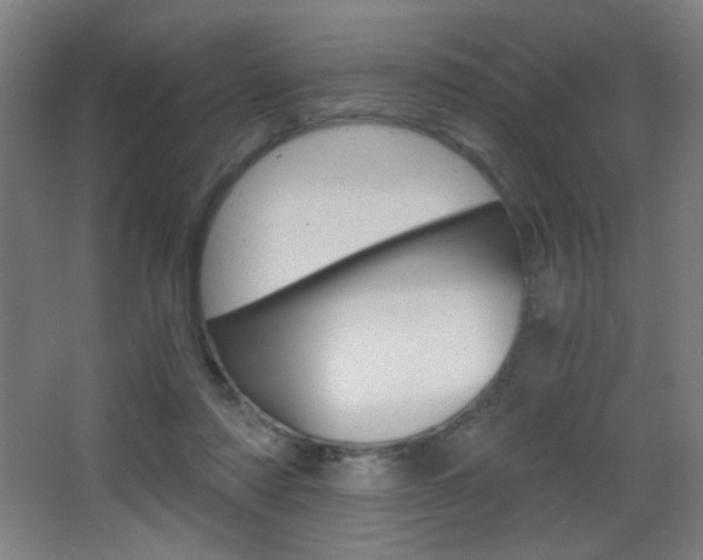 X0000068260310200604210921