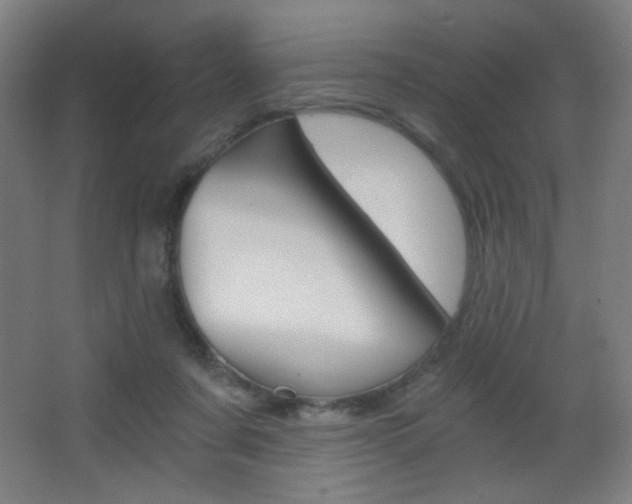 X0000068260311200604210921