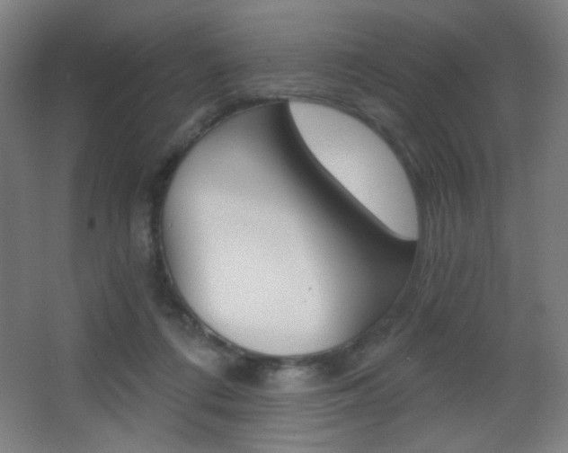 X0000068260312200604210921