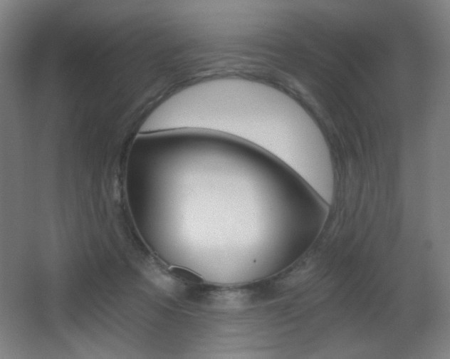 X0000068260313200604210921