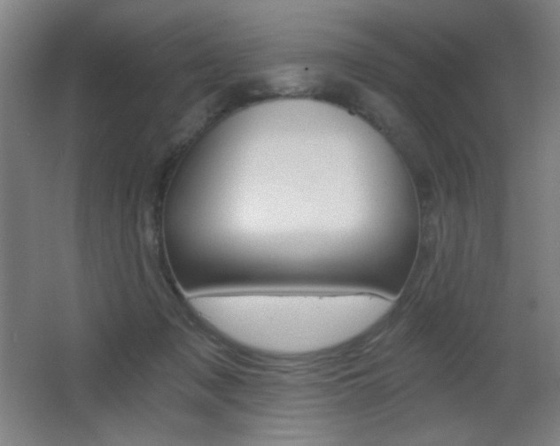 X0000068260317200604210921