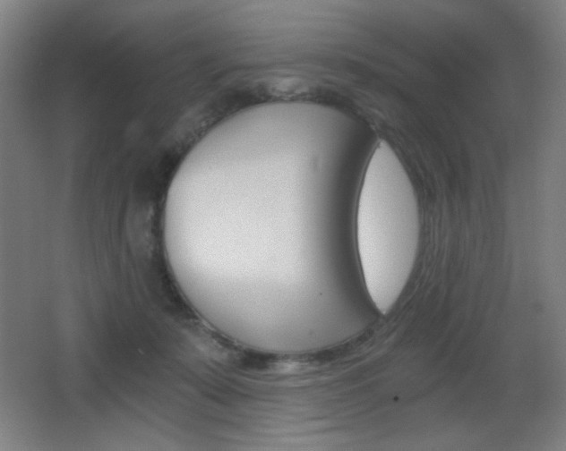 X0000068260319200604210921