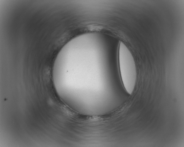 X0000068260321200604210921