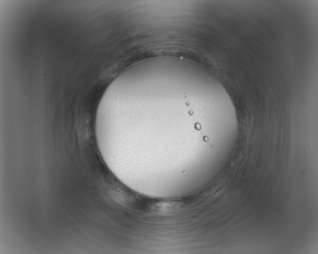 X0000068260323200604210921