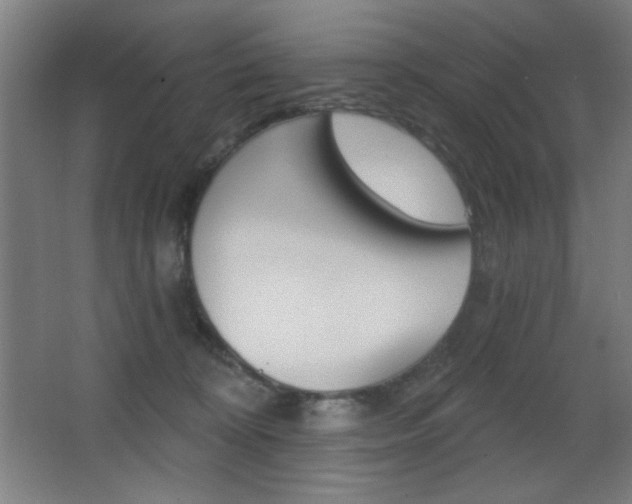 X0000068260324200604210921