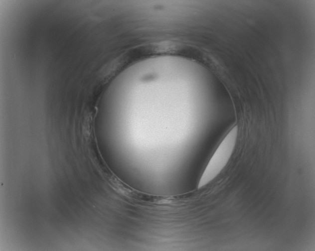 X0000068260325200604210921