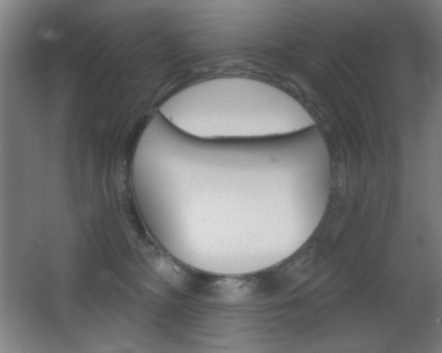 X0000068260326200604210921