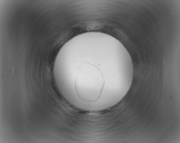 X0000068260327200604210921