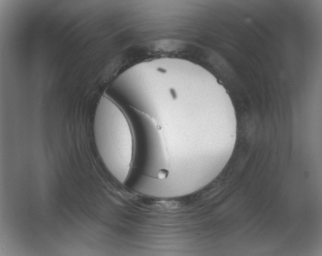 X0000068260328200604210921