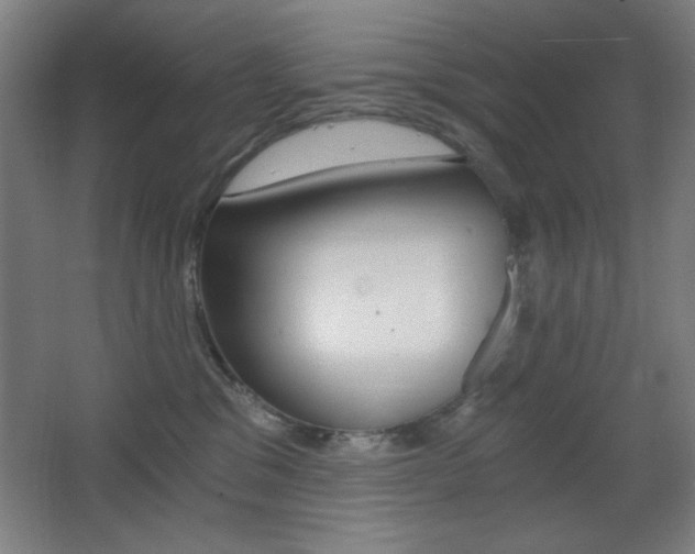 X0000068260329200604210921