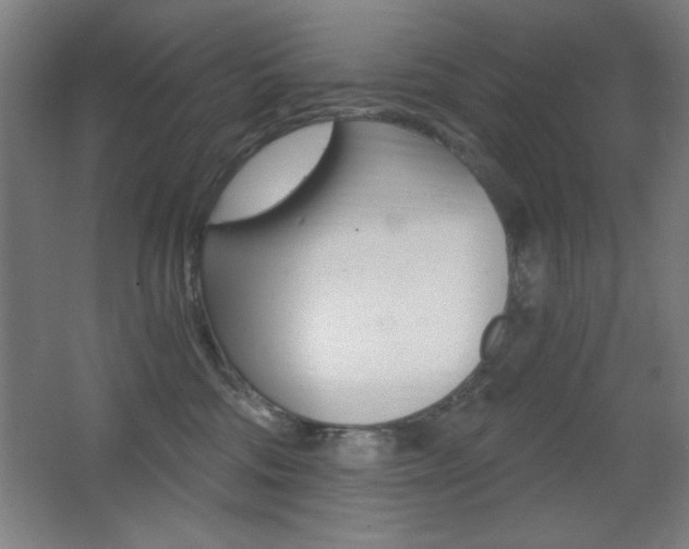 X0000068260330200604210921