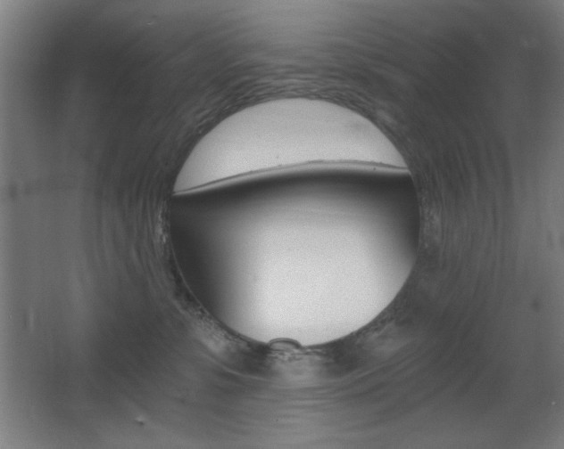 X0000068260331200604210921