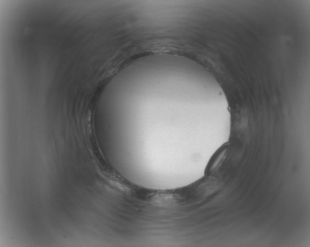 X0000068260332200604210921