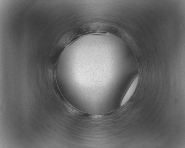 X0000068260333200604210921