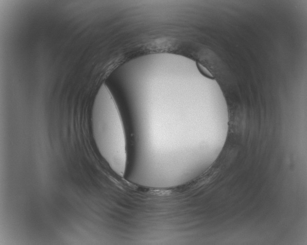 X0000068260334200604210921