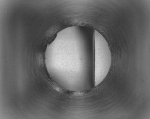 X0000068260335200604210921