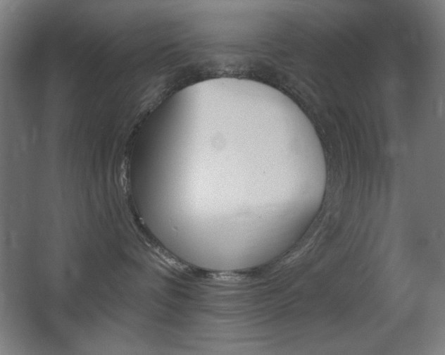 X0000068260336200604210921