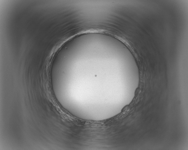 X0000068260337200604210920