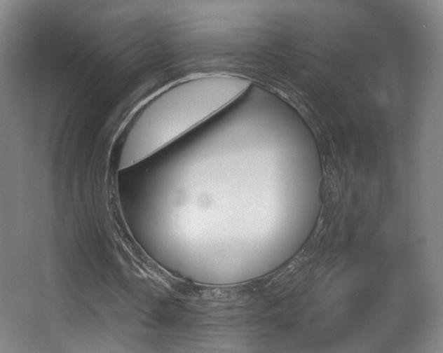 X0000068260338200604210920