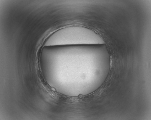 X0000068260339200604210920