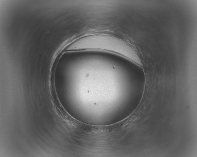 X0000068260340200604210920