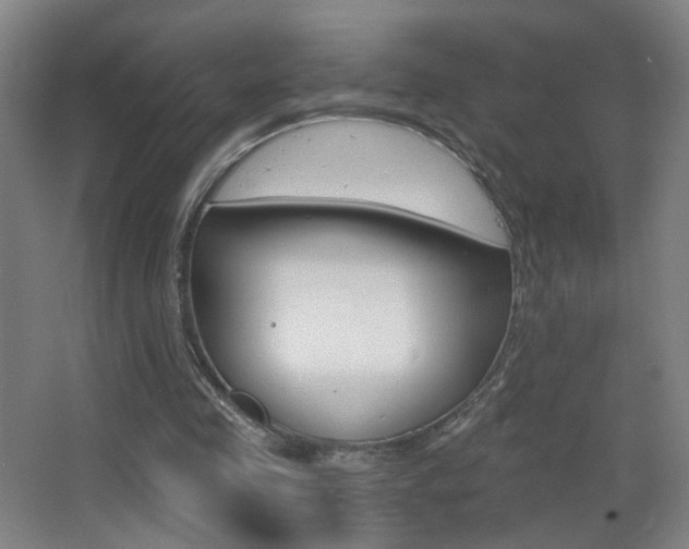 X0000068260341200604210920