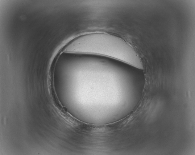 X0000068260342200604210920