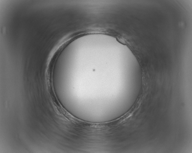 X0000068260343200604210920