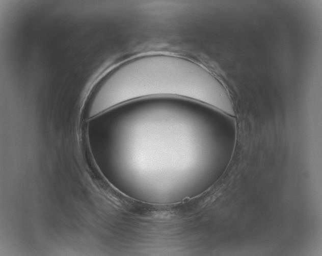 X0000068260344200604210920